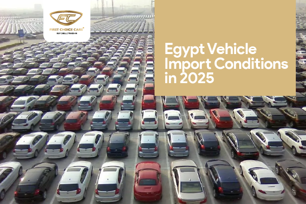 vehicle import conditions egypt