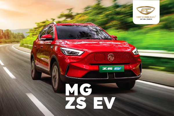 The Mg Zs Ev