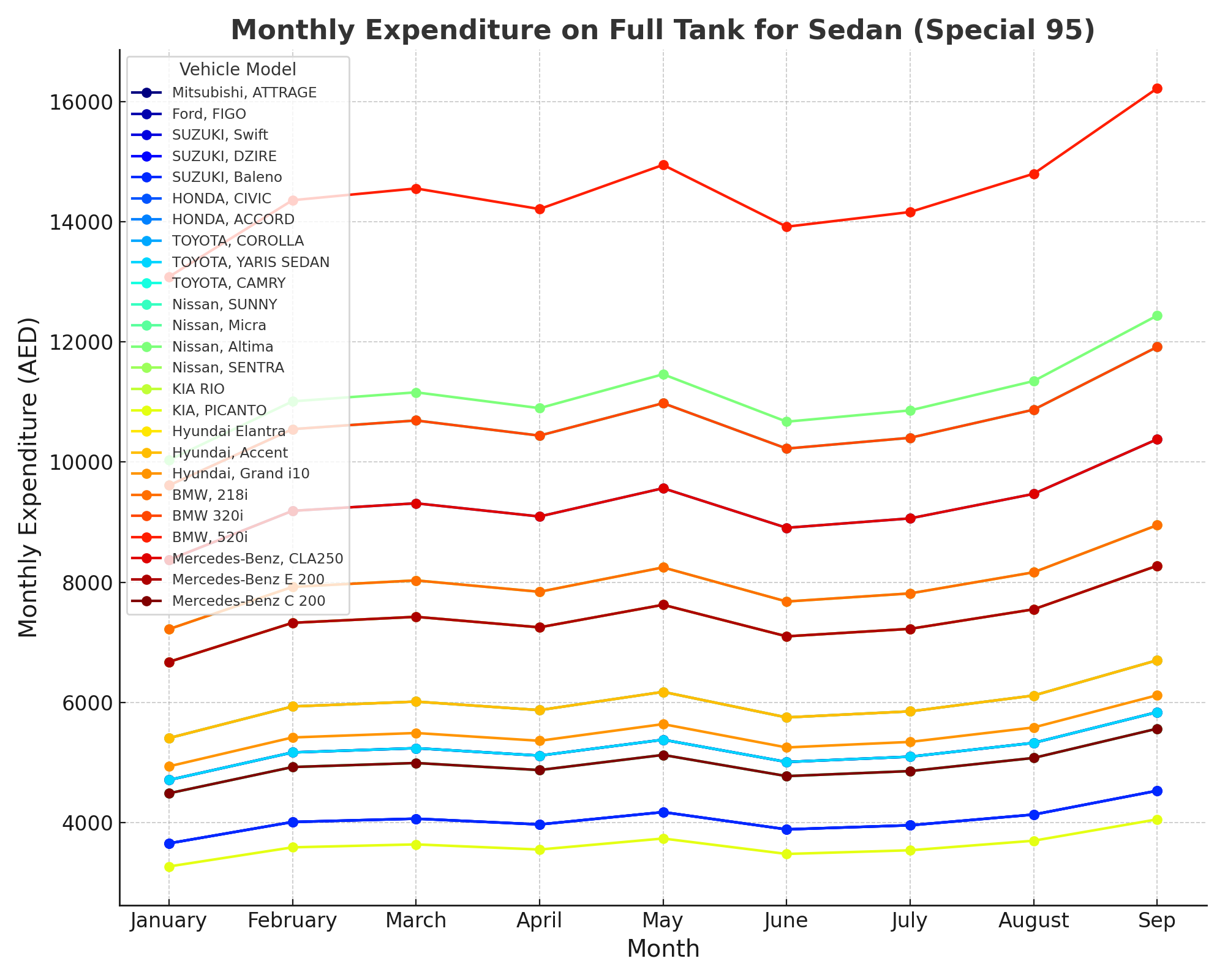 Sedan Special 95 Colorful Monthly Expenditure Line Plot
