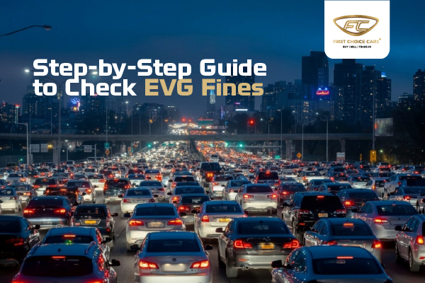 Step By Step Guide To Check Evg Fines