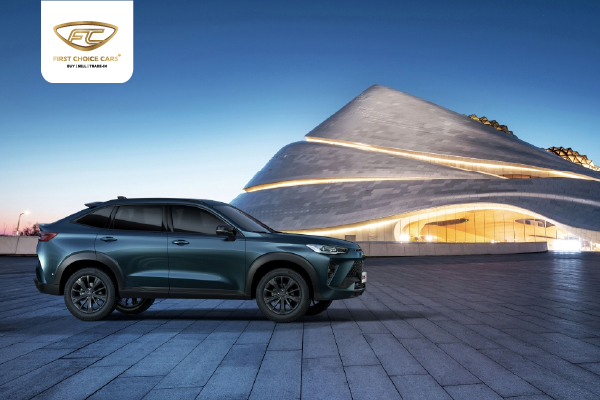 Havals Presence In The UAE