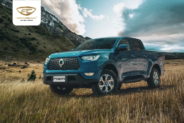 Great Wall Motor Poer
